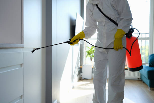Professional Mold Remediation in Waterloo, IN