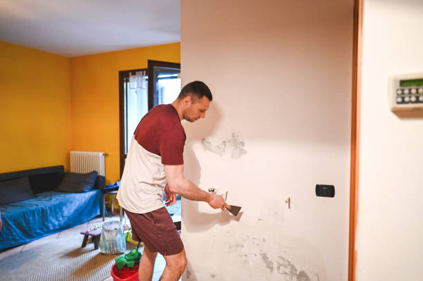 Best Localized Mold Remediation (e.g., coastal areas, humid climates) in Waterloo, IN